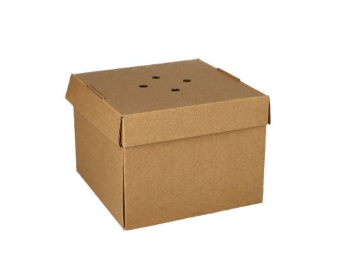 Take-Away Burgerboxen, verschiedene Größen