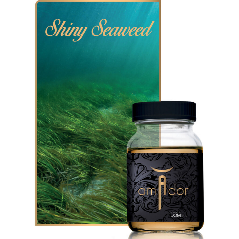 DOMI Sense Amador-Duftöl "Shiny Seaweed", 200ml Flasche