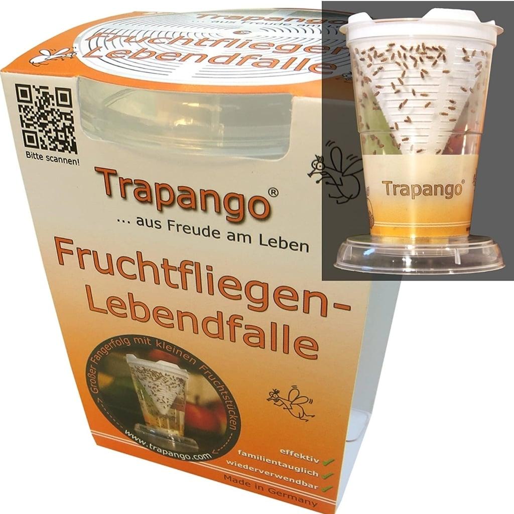Fruchtfliegen-Lebendfalle